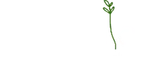 Kalavryta Botanica