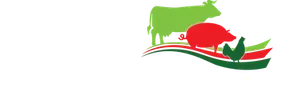 Rizos